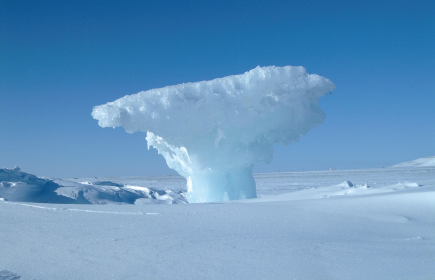 ice sculpture (frozen blowhole)